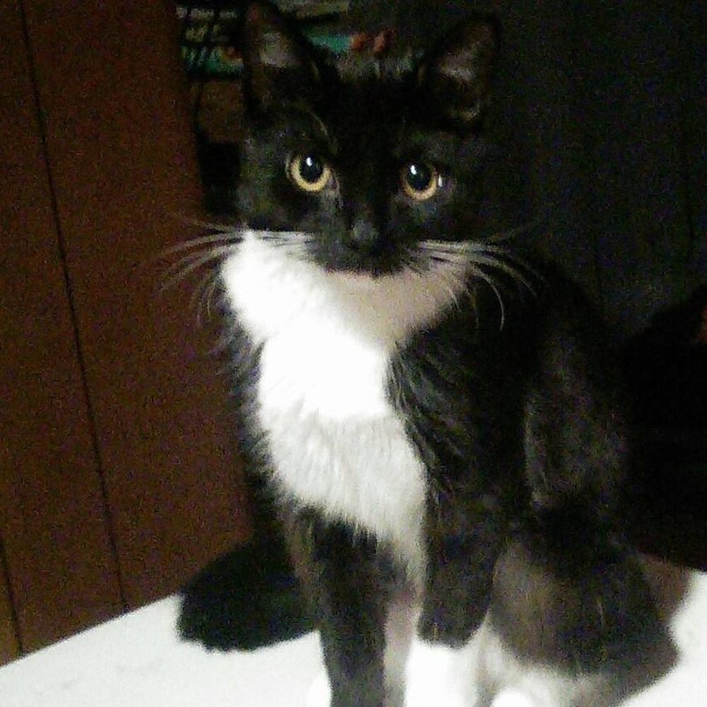 Meet your Posher, Eleanor